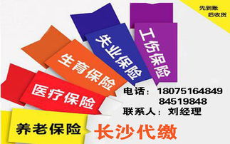 長沙財(cái)務(wù)代理記賬流程與電腦軟件應(yīng)用解析